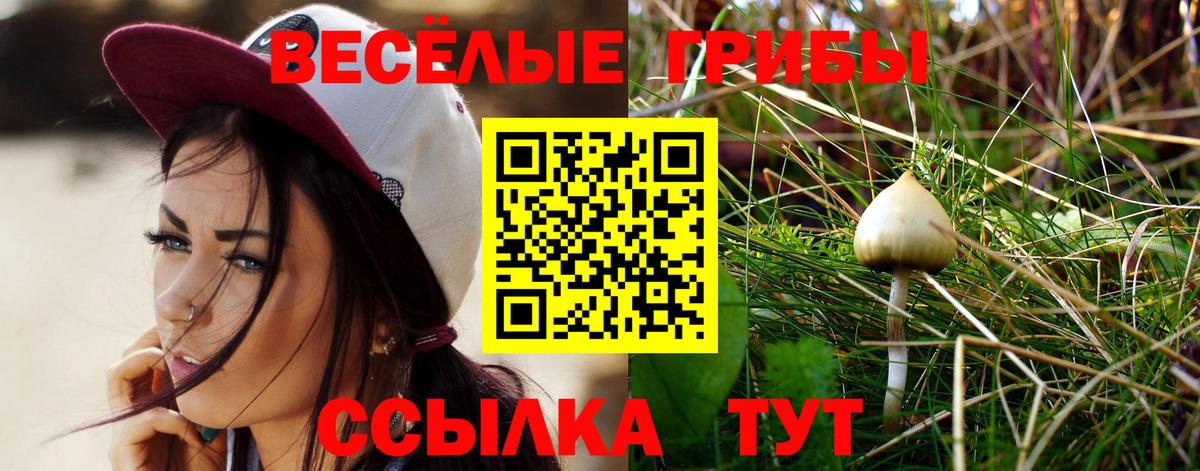 Кирово-Чепецк  Галлюциногенные грибы Psilocybe  Вход с VPN  Галлюциногенные грибы Psilocybine cubensis 