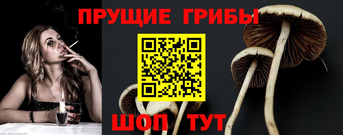 Псилоцибиновые грибы ЛСД Кирово-Чепецк